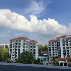 Loft @ Holland (D10), Apartment #468922341